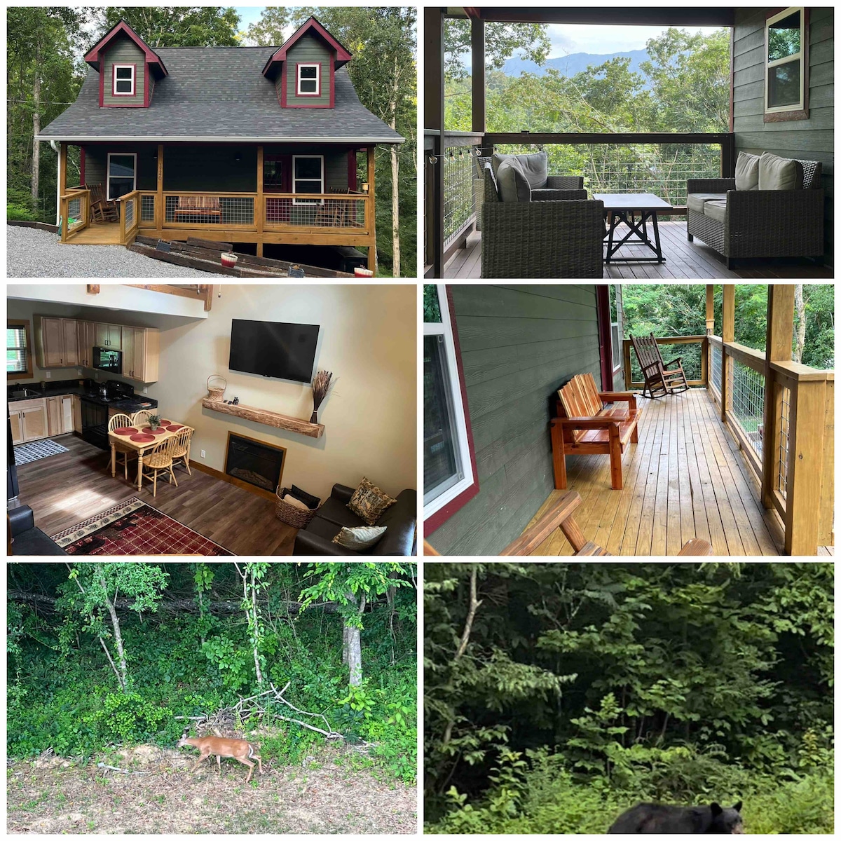 New Cozy private cabin Smoky MountainsTownsend  TN