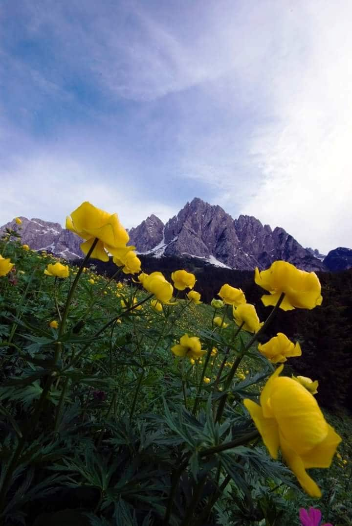 romantic corner in sappada for two people