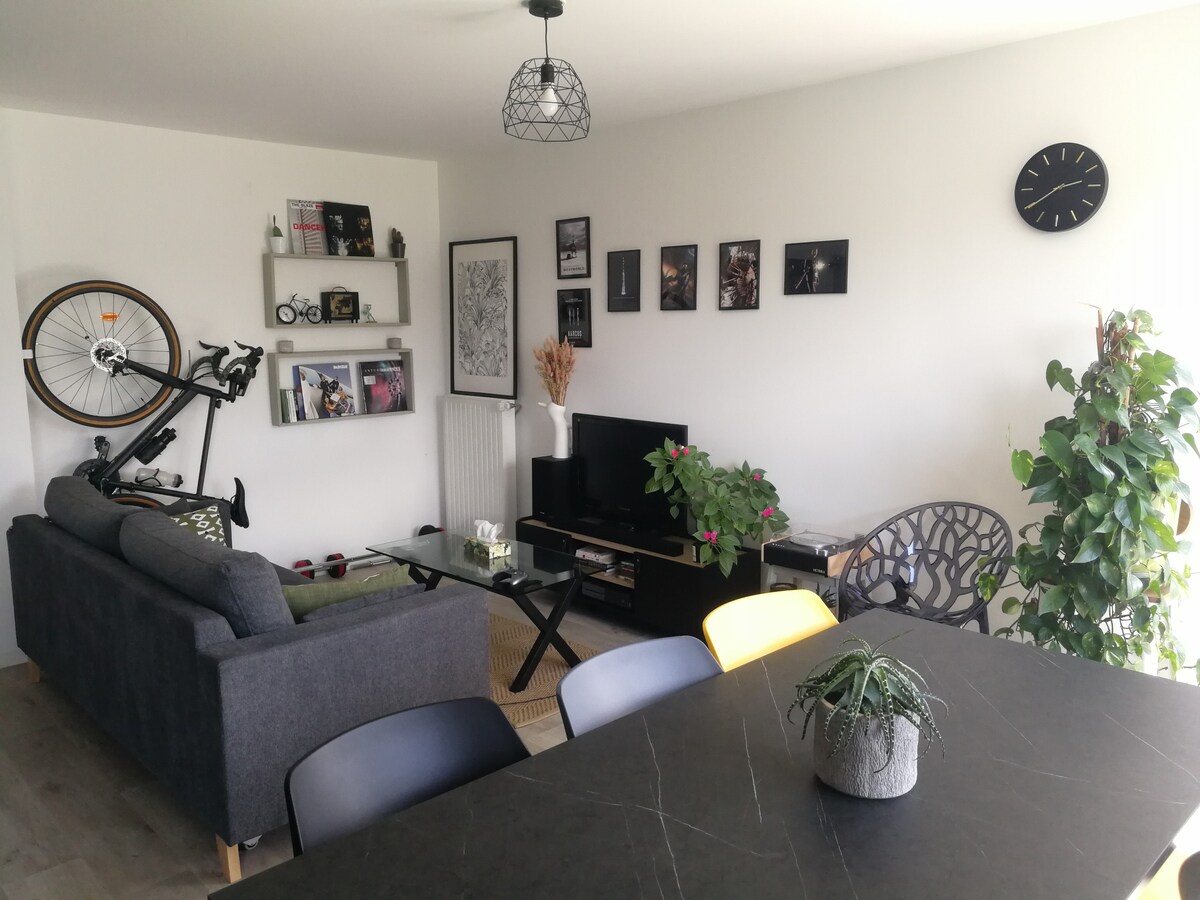 Appartement lumineux spacieux cosy