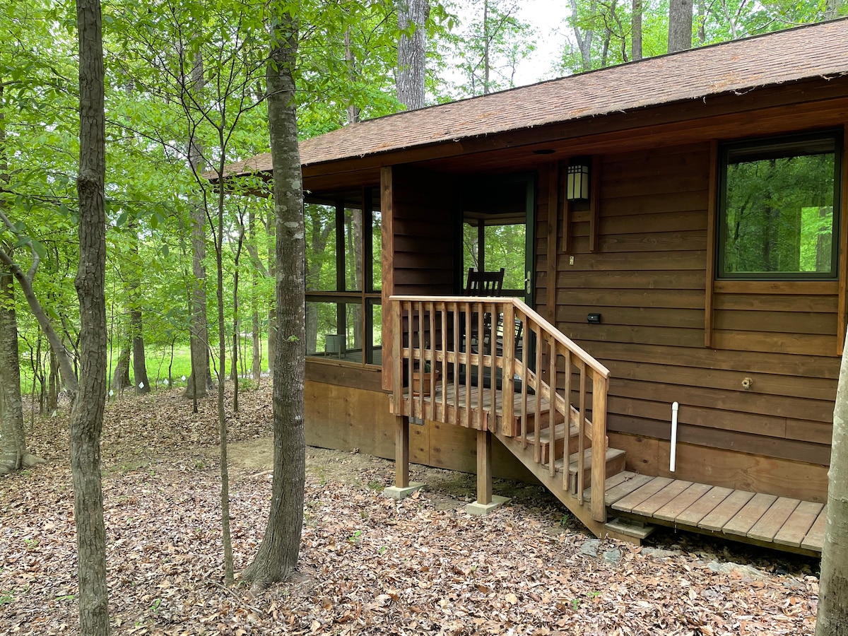 Cabin Amongst the Trees