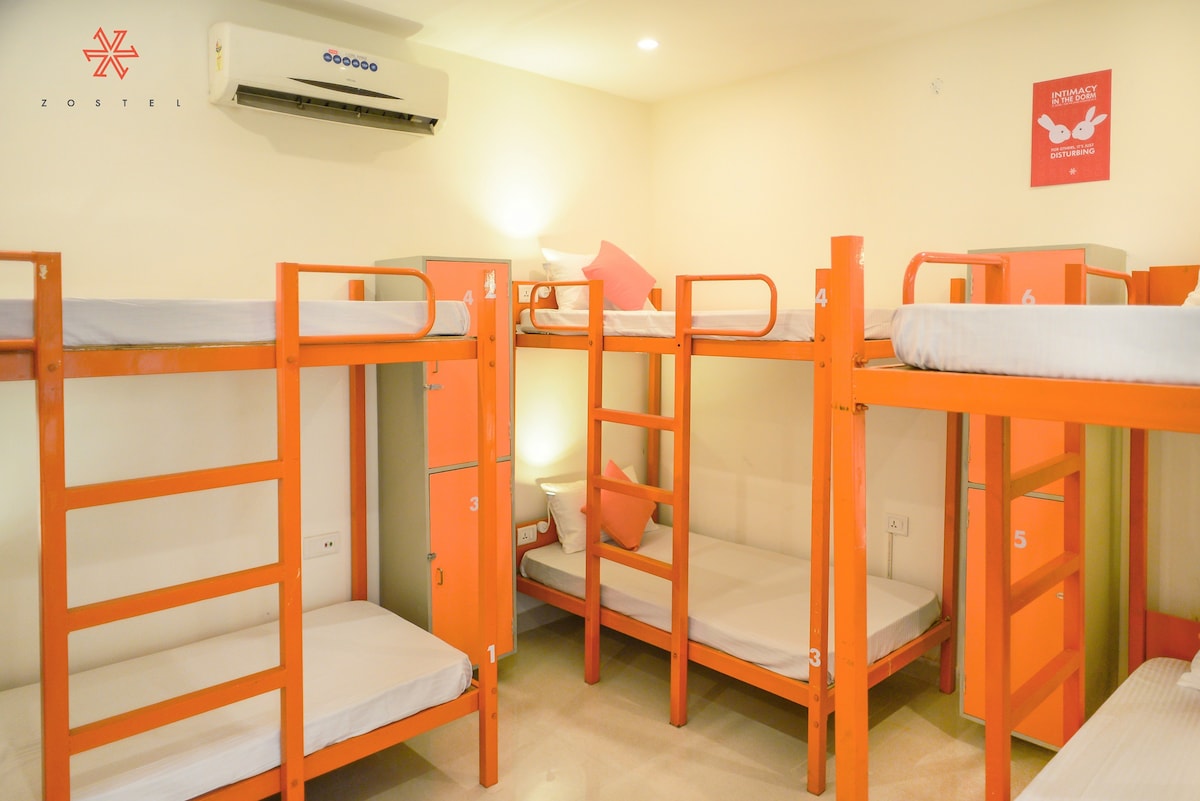 Zostel Jaipur | Bed in 8 Bed Mixed Dorm