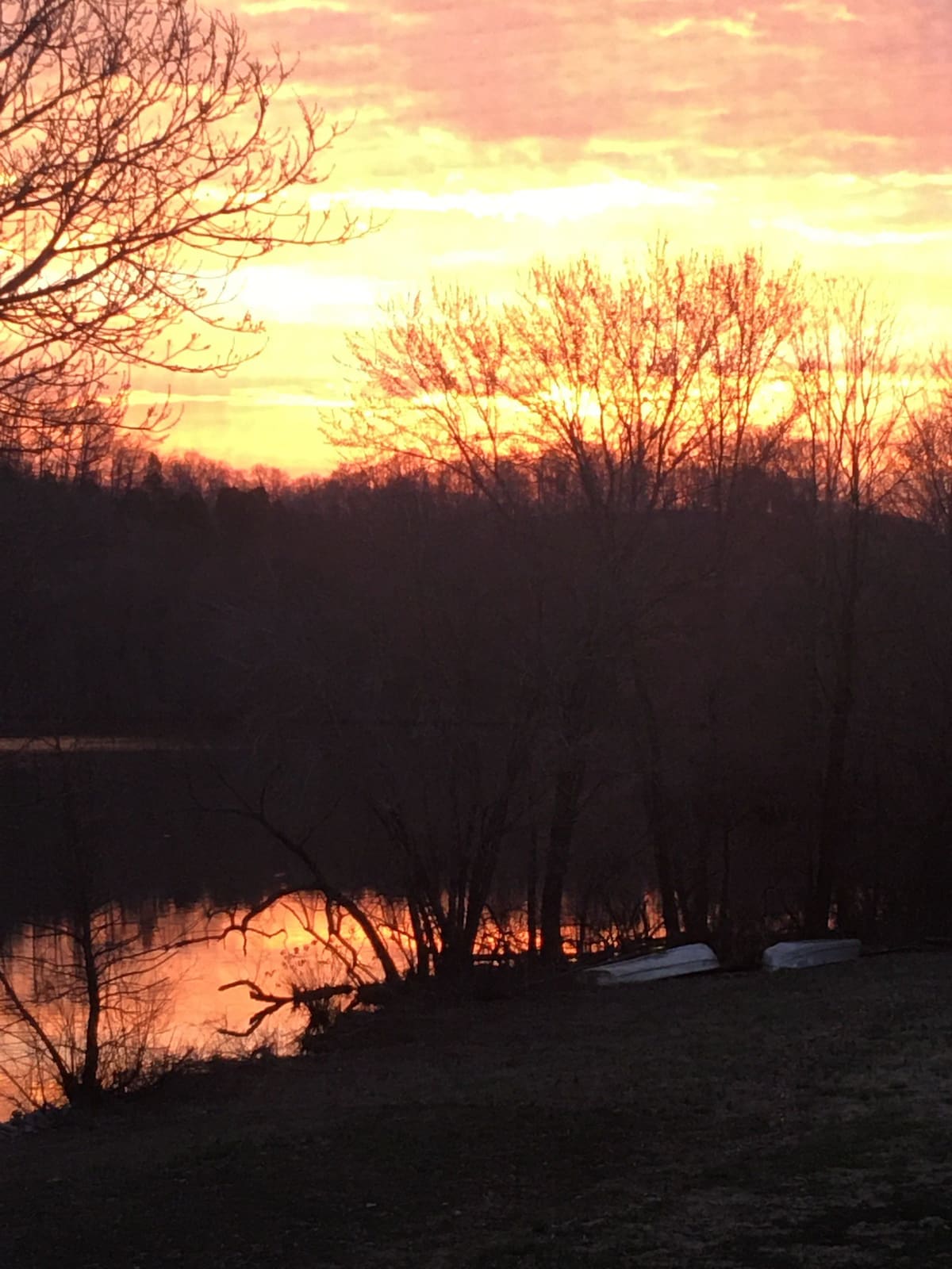 Lake Pardue.  Property nestled on lake.