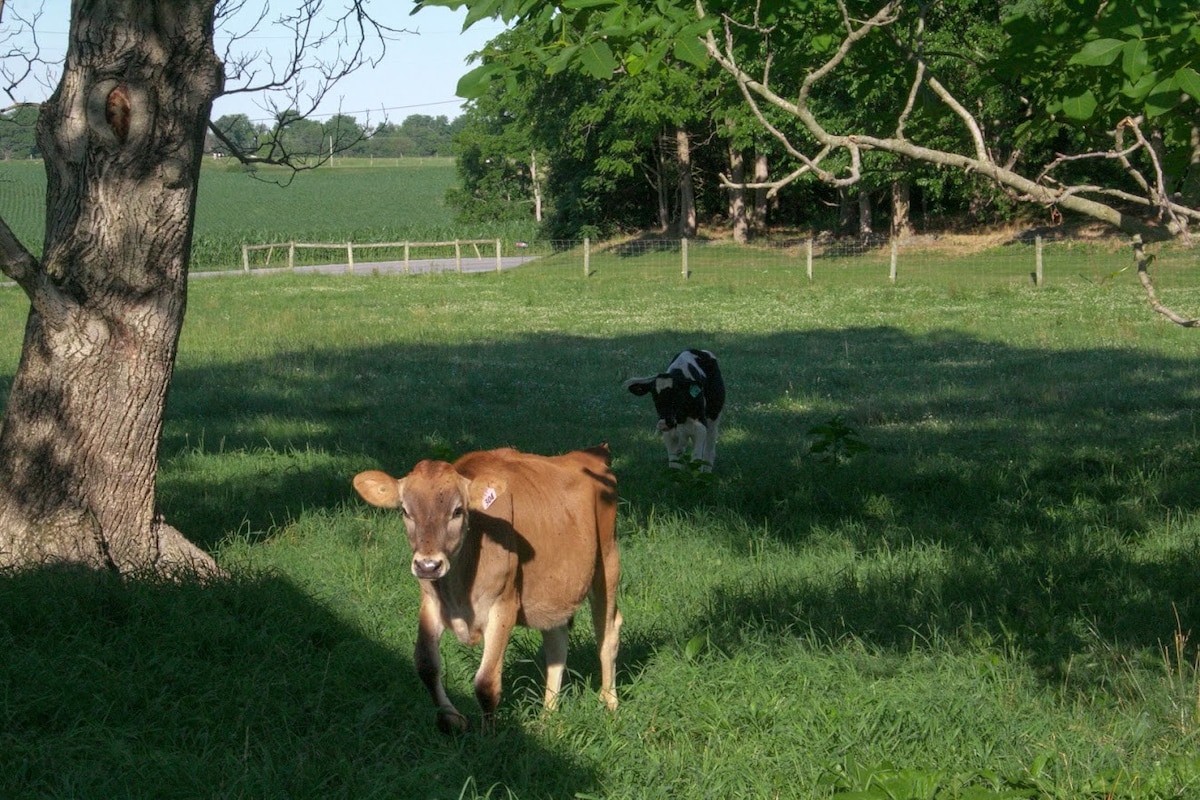 J + J Bros. Homestead and Farm