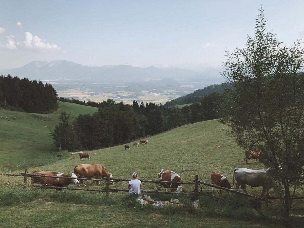 ruhiges Almhaus in Kärnten - Entspannung am Berg