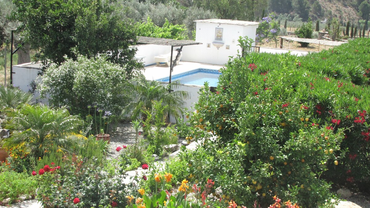 Las Alegrias ， 5张床/5个卫生间。大型游泳池，可住8人。