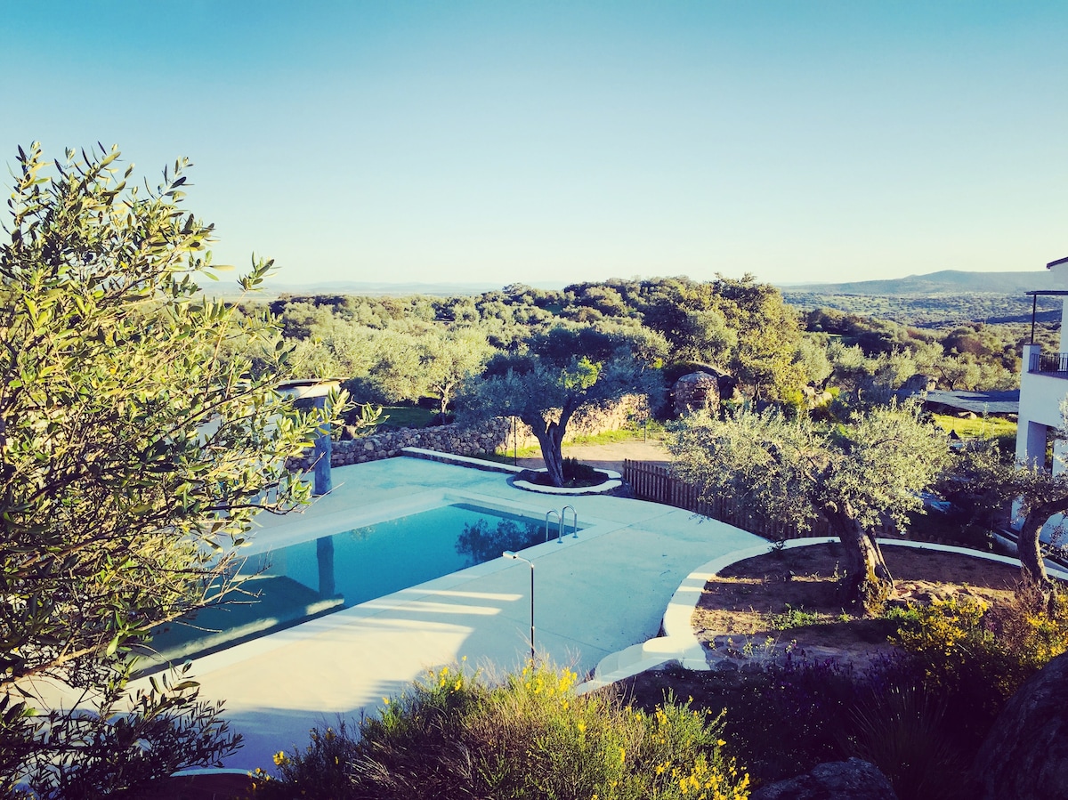 Villa with a private pool