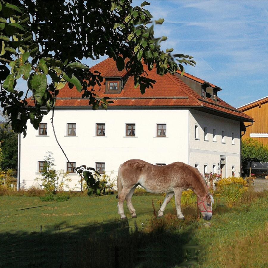 Ferienhof Aiginger （ Grafenau ） ， Ferienwohnung 3 （ 65平方米） mit Mansarde für 4 Personen