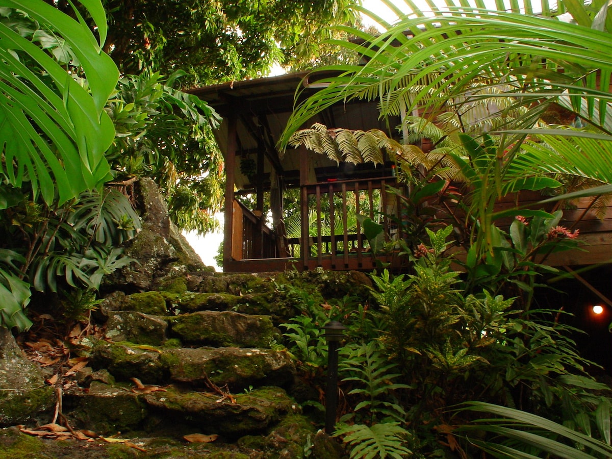 NANAINA小屋。丛林爱好者梦想