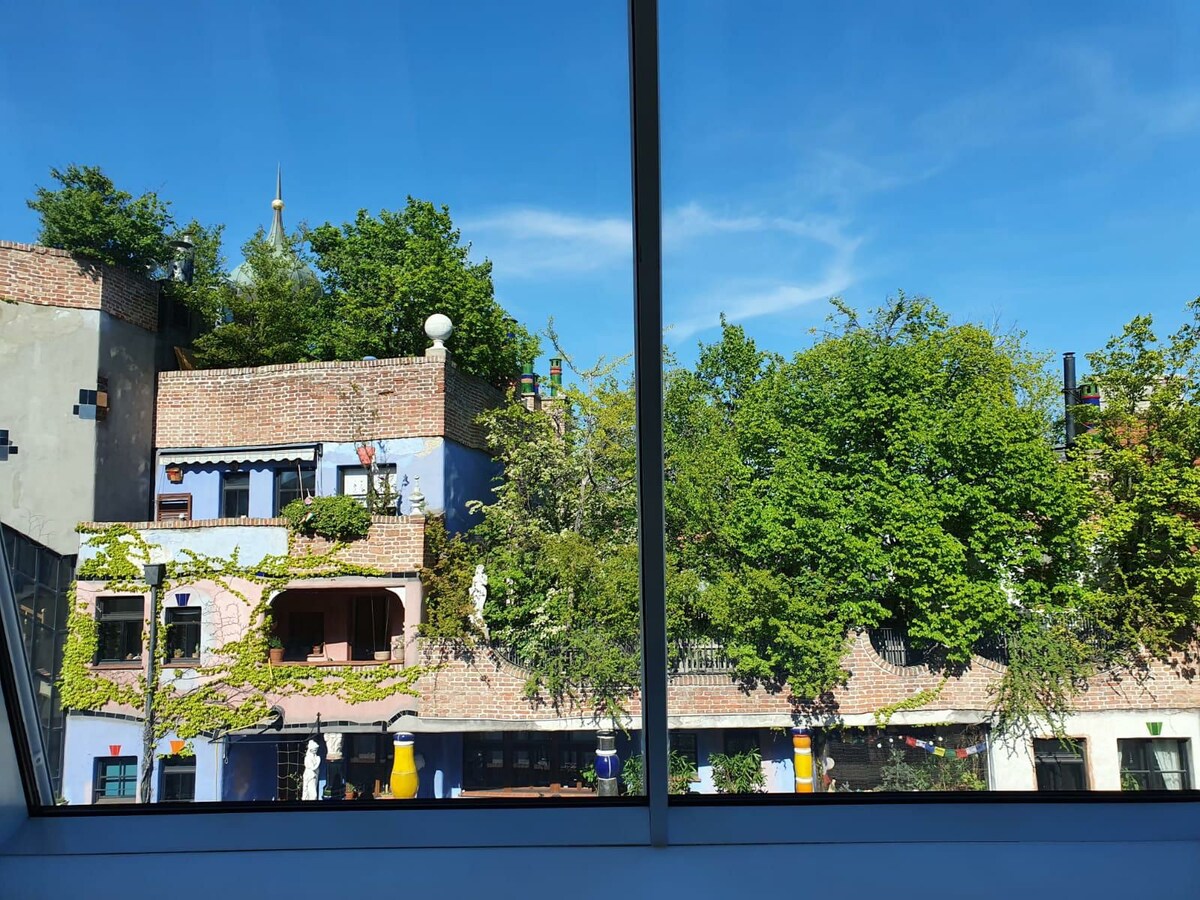 Hundertwasserhaus前180平方米的豪华屋顶