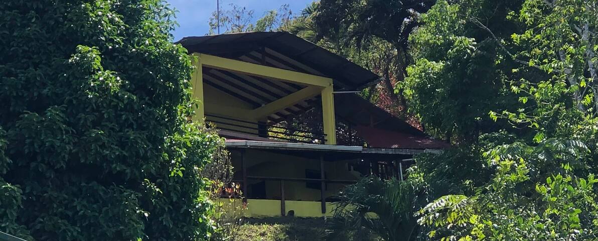 Pavones, Costa Rica的民宿