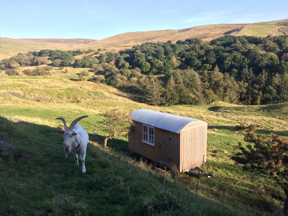 Pennine Rustic Shepherd Hut （完全孤立）