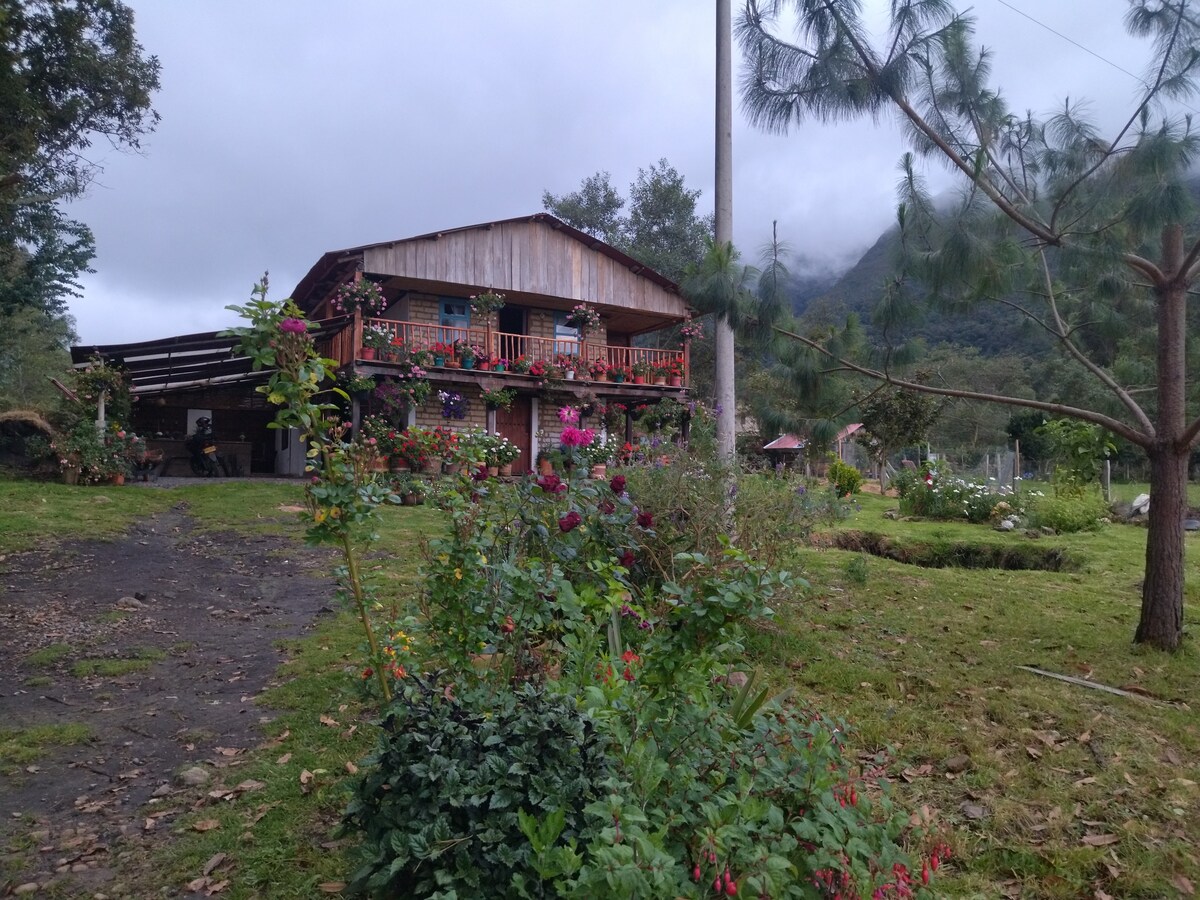 el jardín de villa