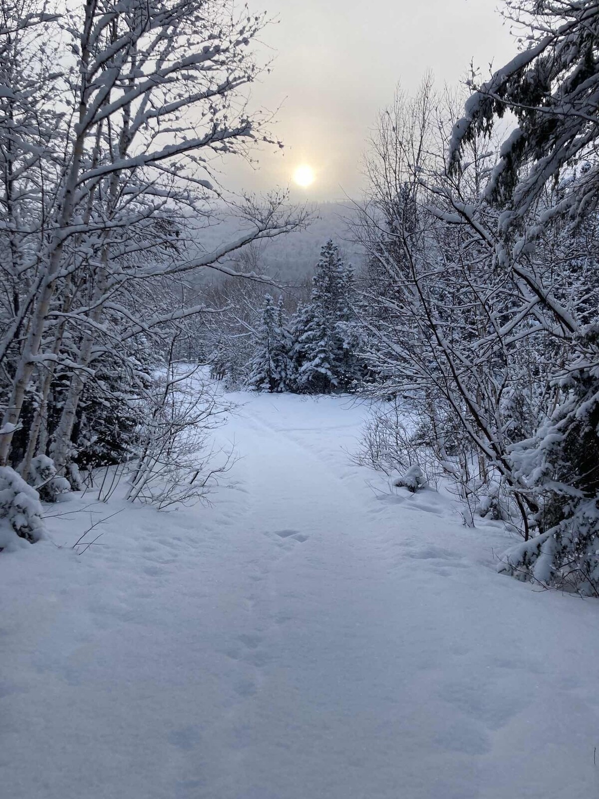 Chalet sur l 'eau, nature et paix à Baie St-Paul!