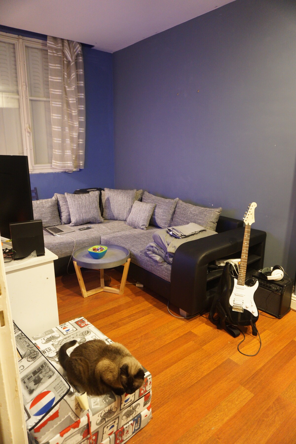 Cosy 25 m² Appartement with a loving cat in Paris