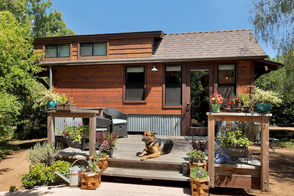 The Tiny Cabin - Coral Tree House