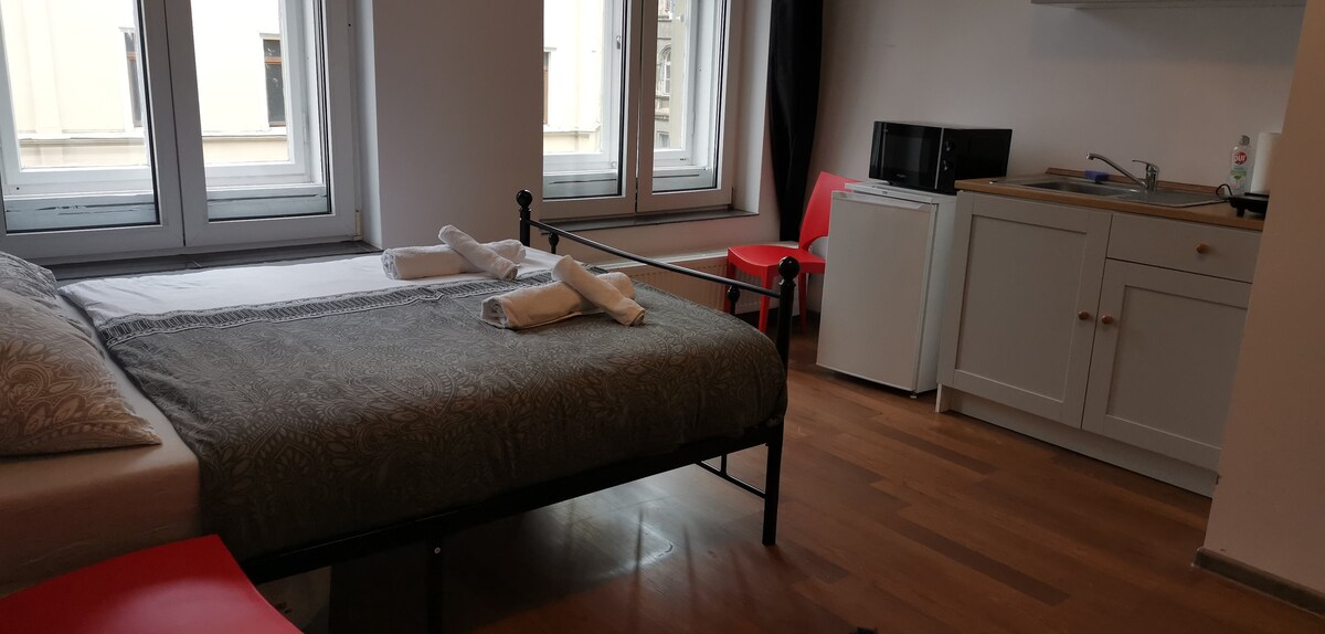 Görlitz （ G19 ）舒适的单卧室公寓