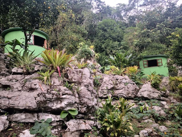 希利特拉 (Xilitla)的民宿