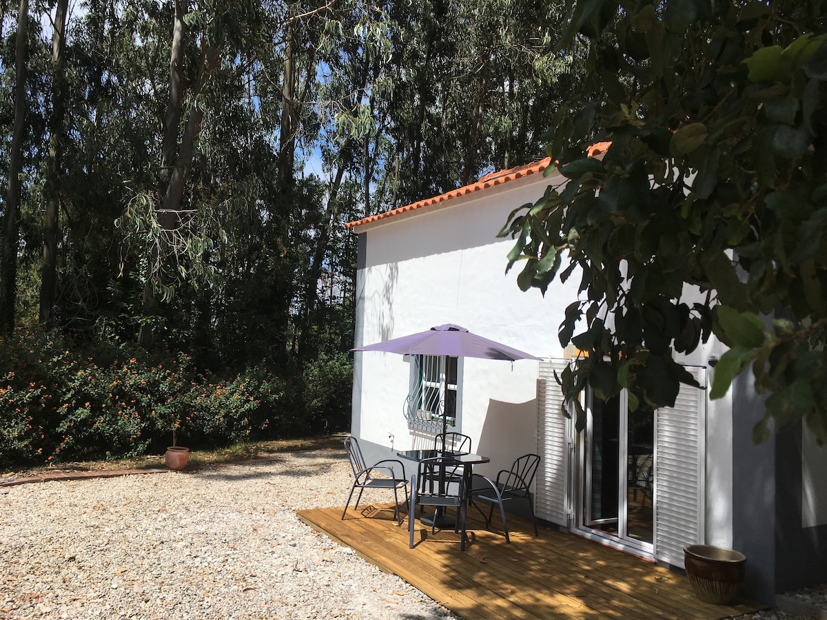 Casa Sobreiro是一间带共用泳池的乡村客房。