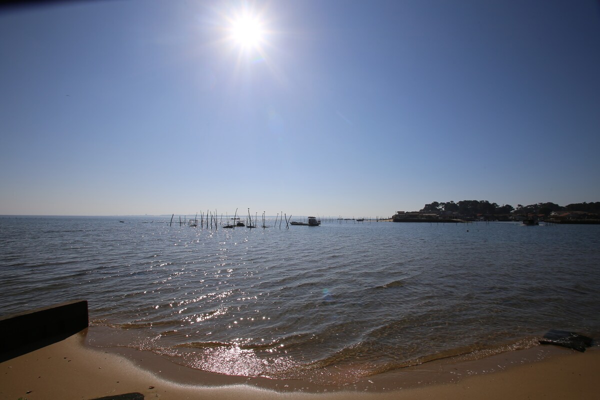 Les pieds dans l'eau à Piraillan, Lège Cap Ferret