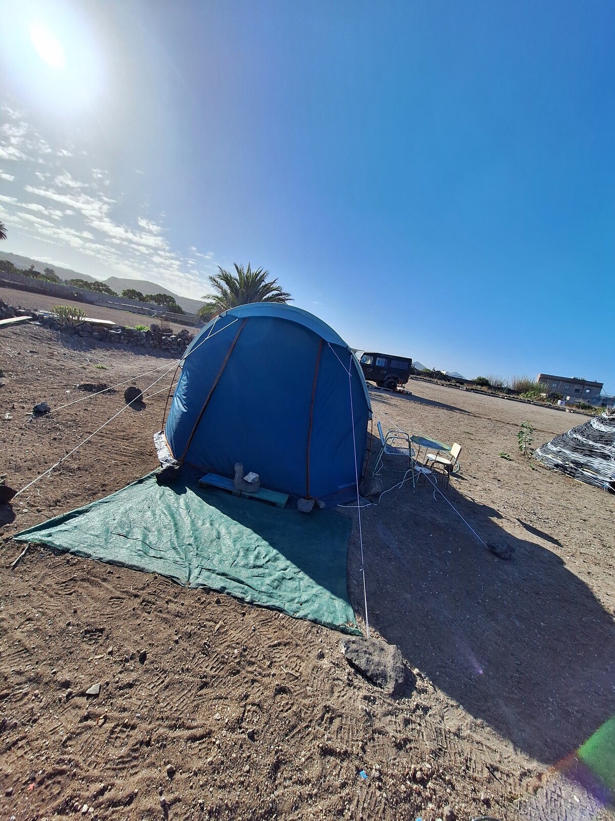 Tent Alpaca Desert