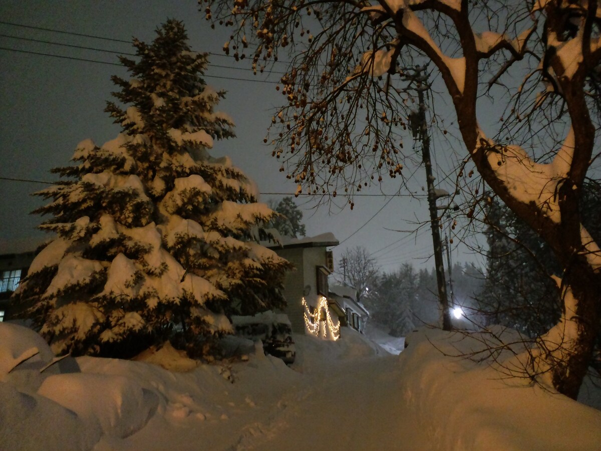 TOMARI滑雪坡，含餐点2