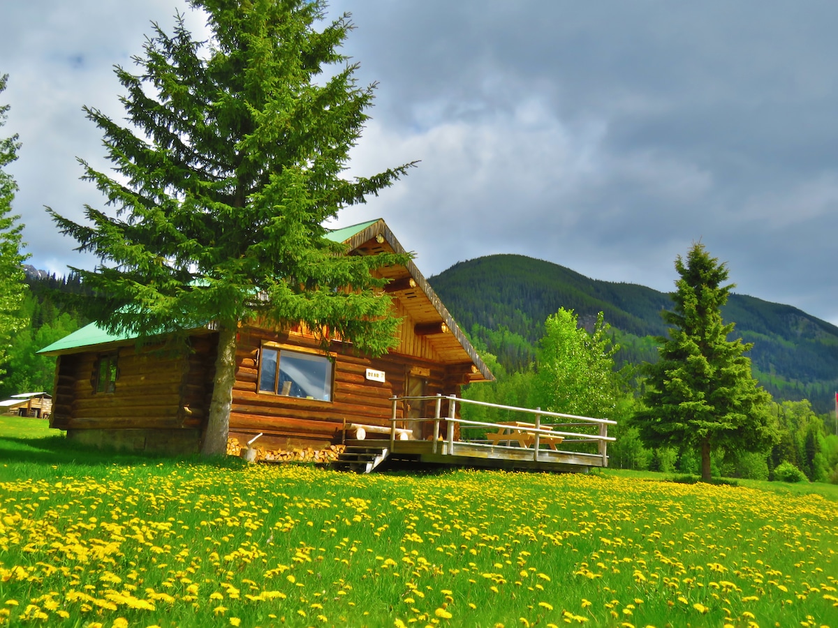 Rocky Ridge度假村的Bear Cabin