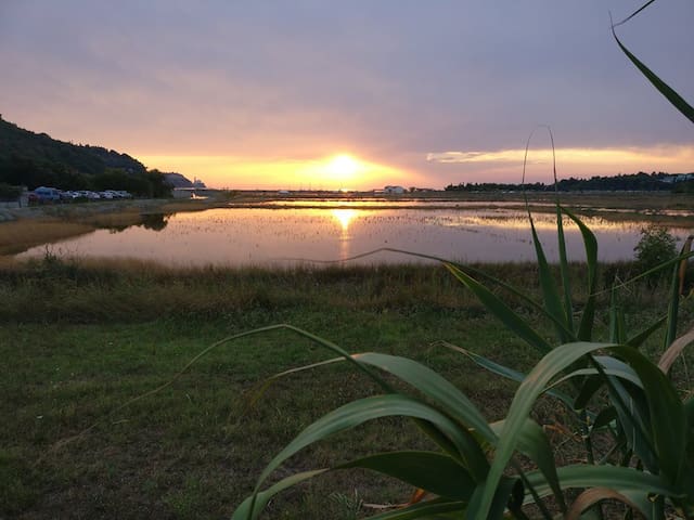 伊佐拉 (Izola)的民宿