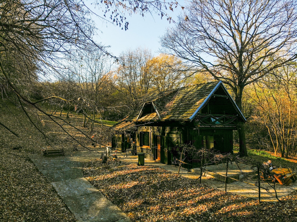 Rent a Forest, Cabin Hidden in the Fruška gora