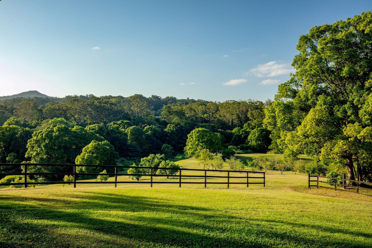 The Packing Shed - West Woombye