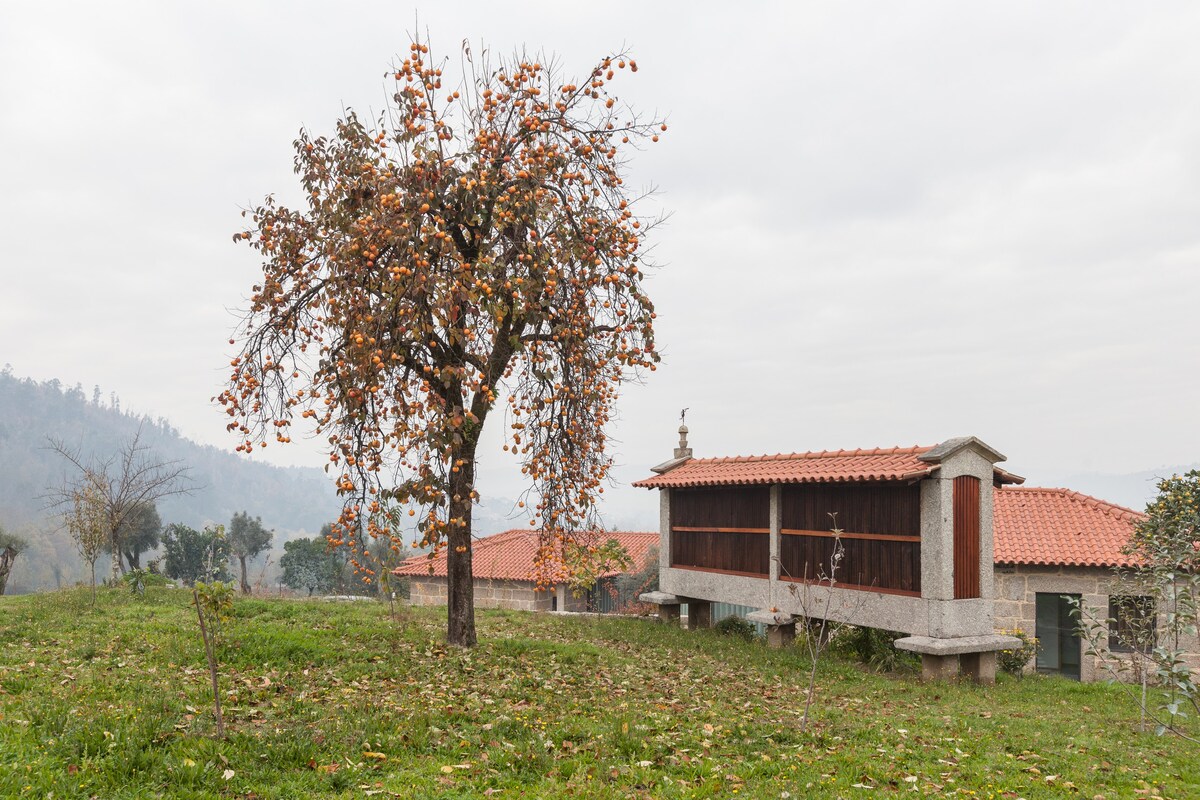 Casa Cima de Vila - XVIII siecle in countryside