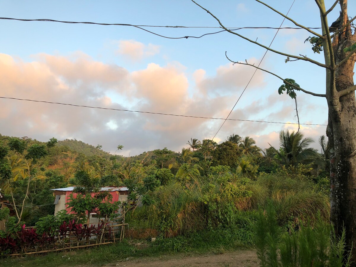 Kuya Glen’s Farmhouse (Gallus gallus - Chicken)