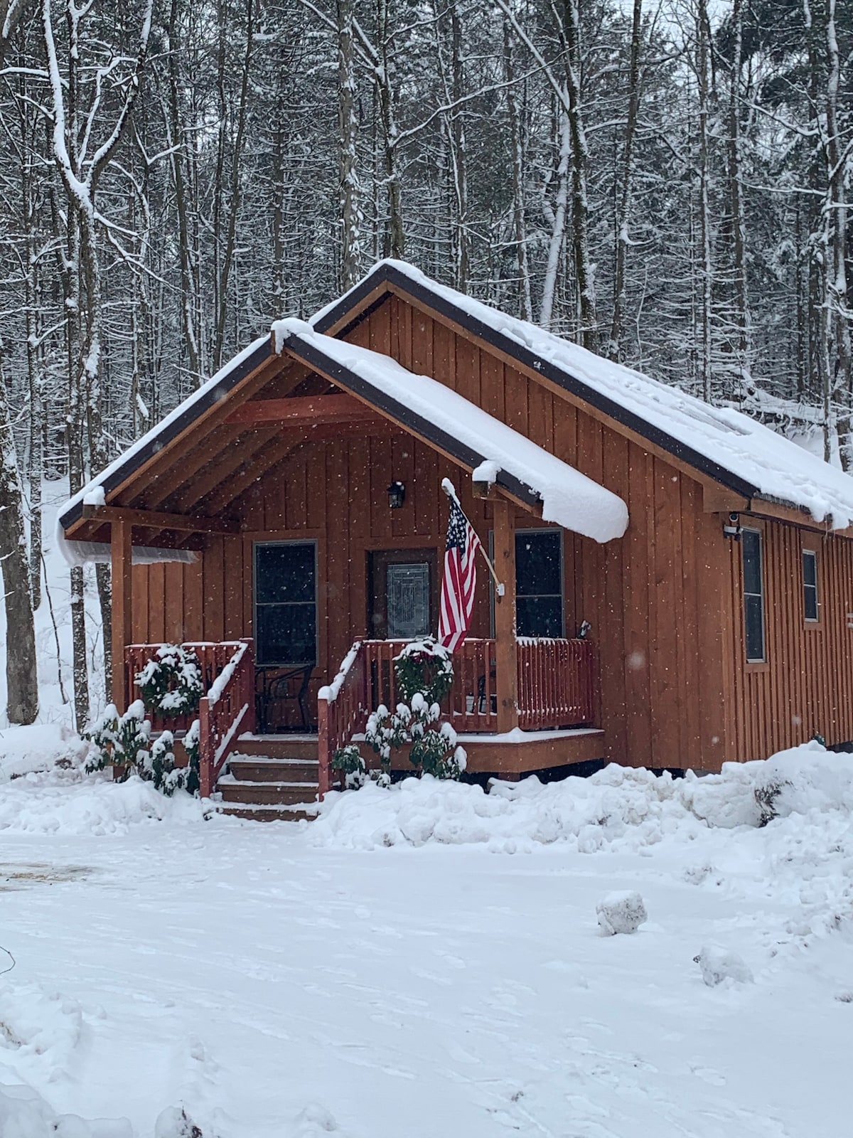 CabinAltmar/雪地摩托车钓鱼/Eclipse Salmon River