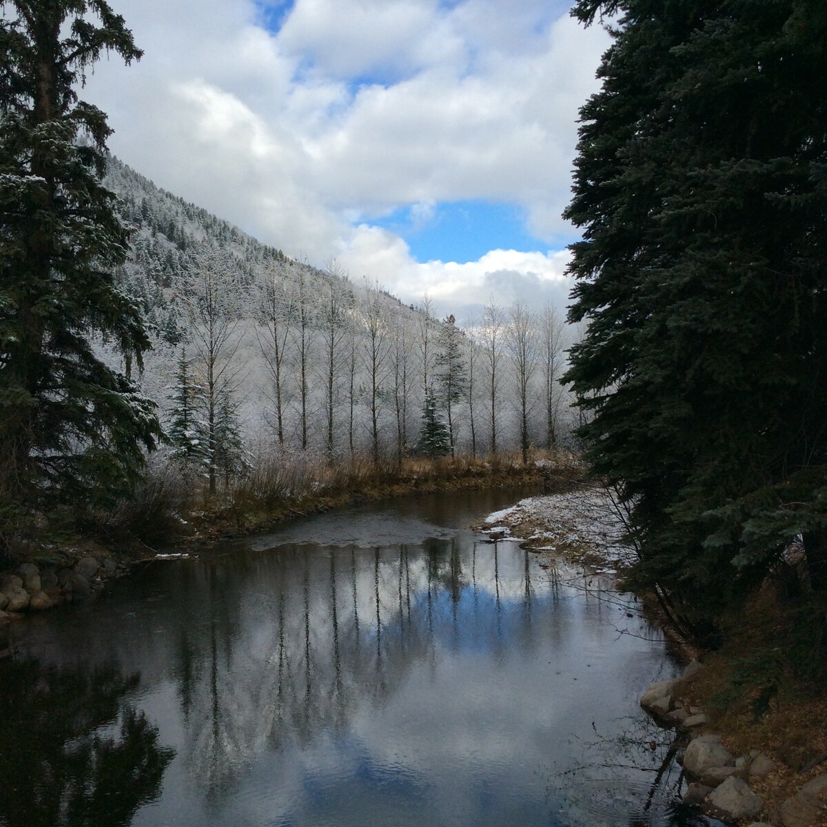 咆哮叉绿洲（ Oasis on the Roaring Fork ）