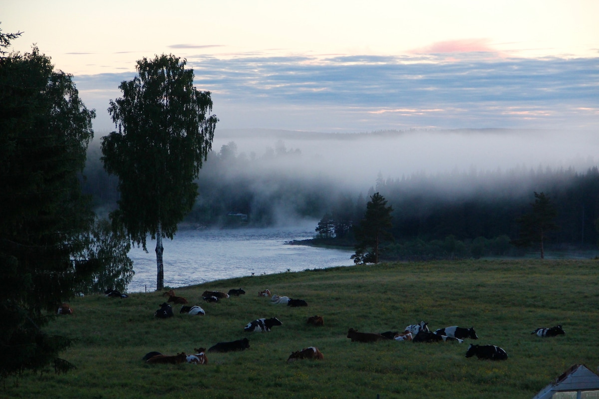 Sarahuset Underbar plats Vännäs