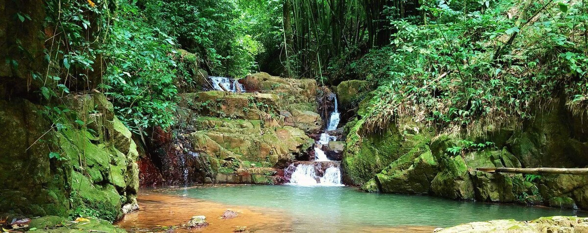 Rainforest Vanlife Glamping and Private Waterfall