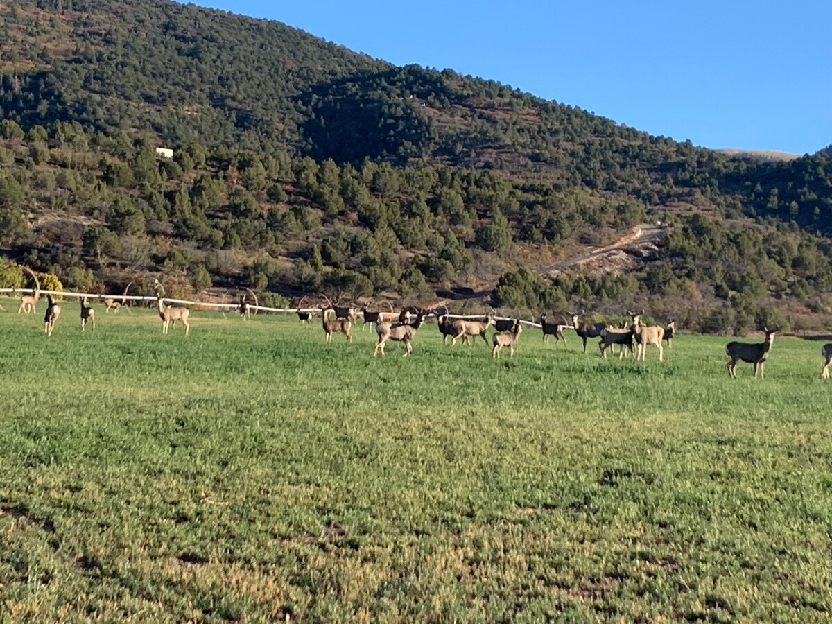 32英亩山脉山峰静修之旅