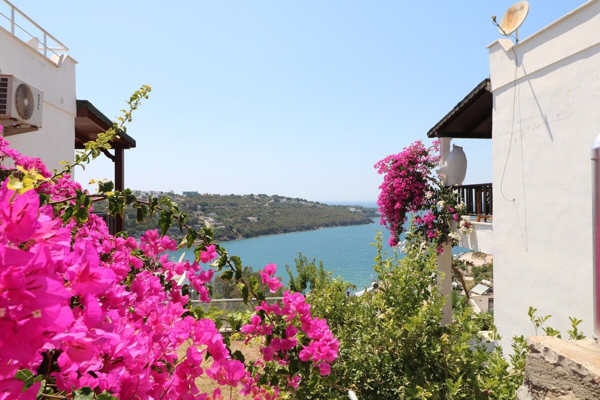 Bodrum Adabükü magnificent sea view villa