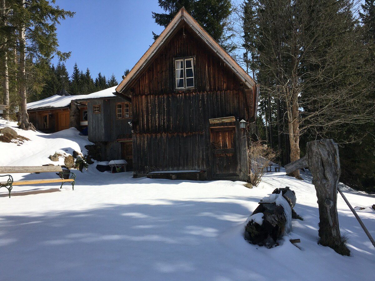 适合动物和自然爱好者的乡村高山小屋