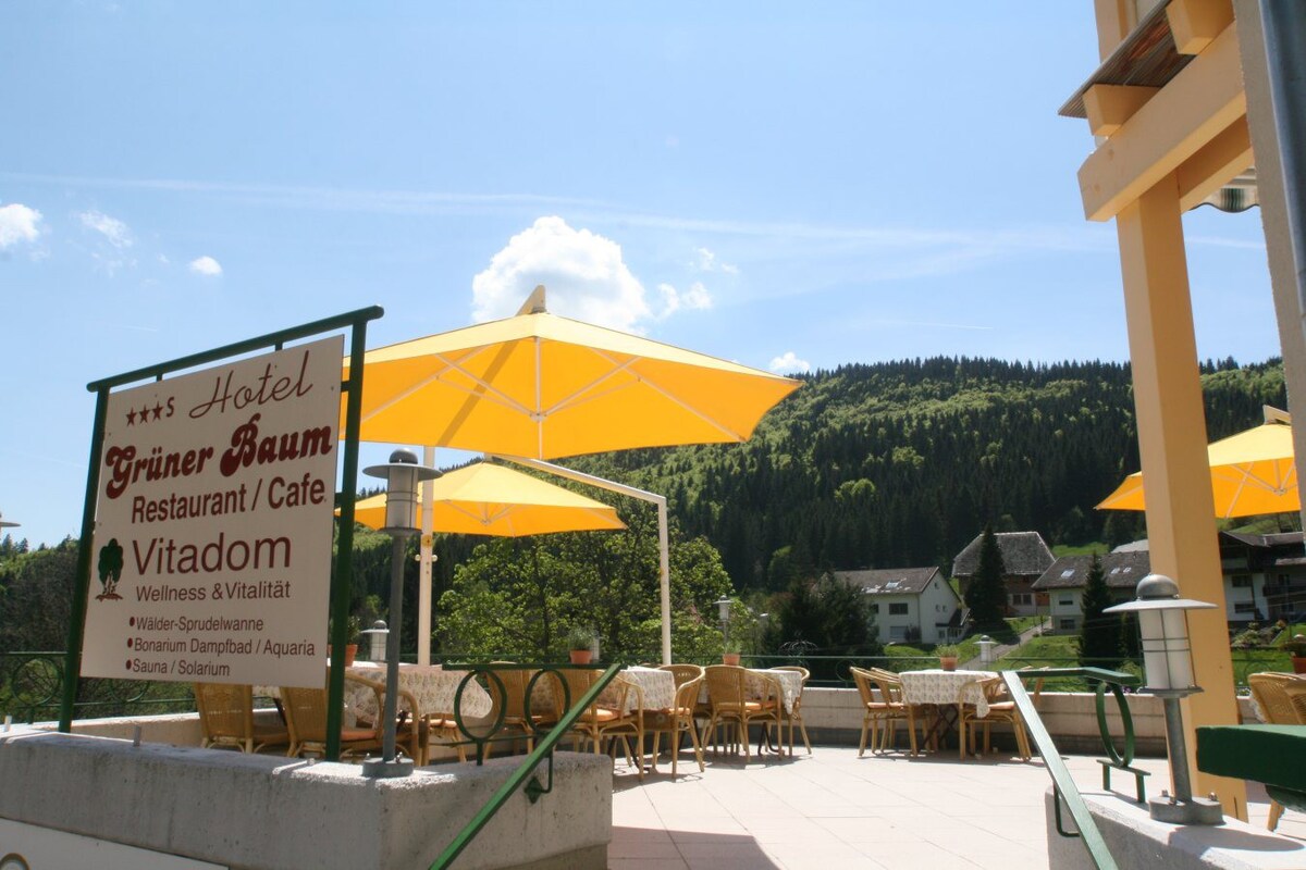 自然公园酒店Grüner Baum （托德瑙） ，双人卧室，带淋浴间/浴室和卫生间