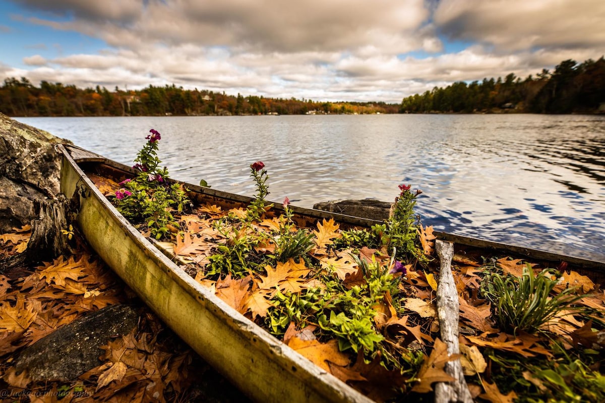 Waterfront cottage at Muskoka