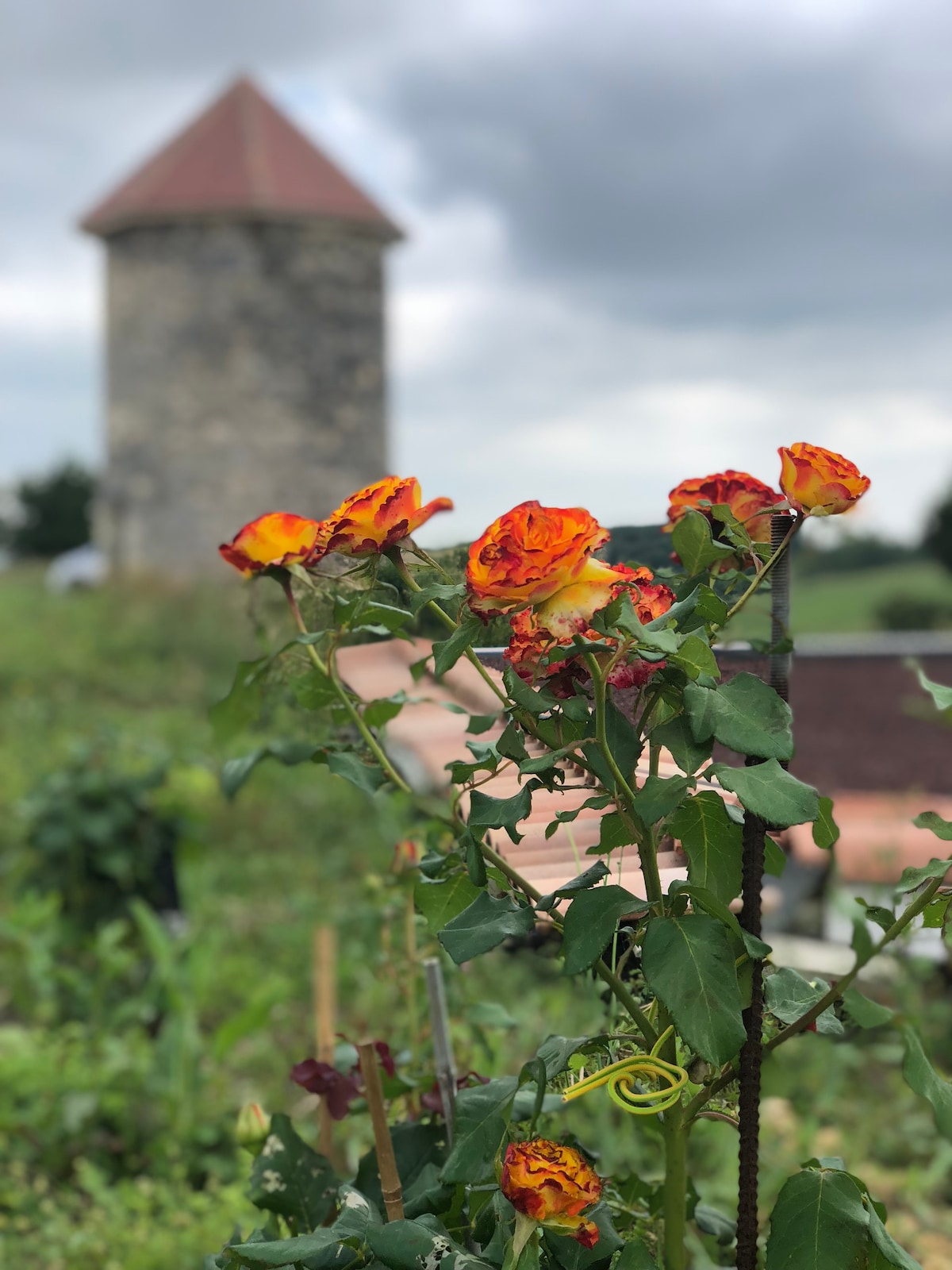 Gites aux Moulins de Sainte Marie - vue imprenable