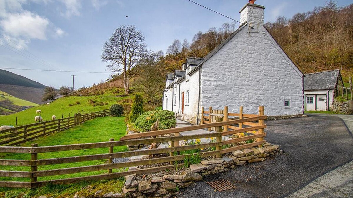 Maes Glas, Fantastic Family Cottage in Mid Wales