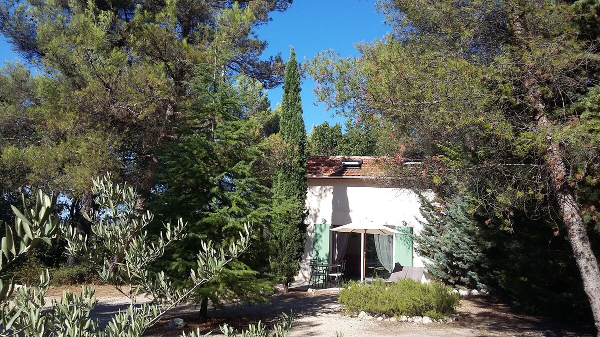 LE LAOU Jolie petite Maison dans parc avec piscine