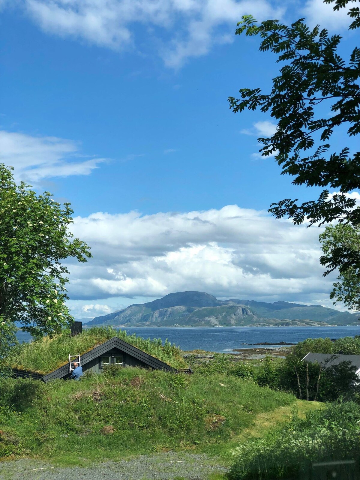 Cabin in UNESCO branded island-North of Trøndelag