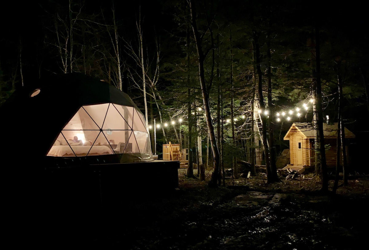 The Woodland Hive and Forest Spa