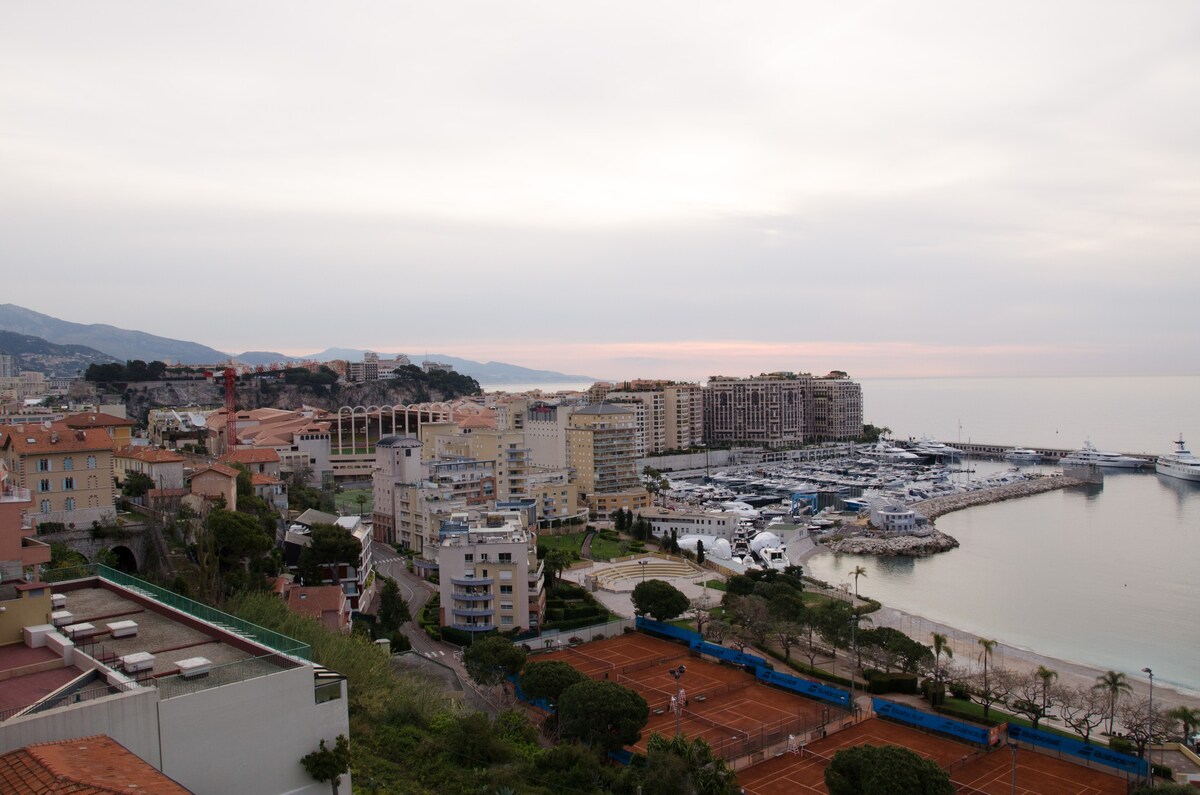 摩纳哥郊外的公寓海景