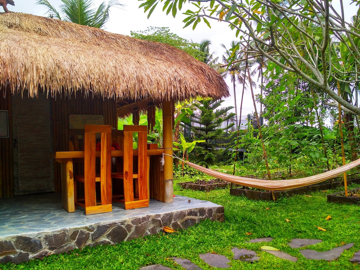 稻田中的生态竹屋。真正的巴厘岛。
