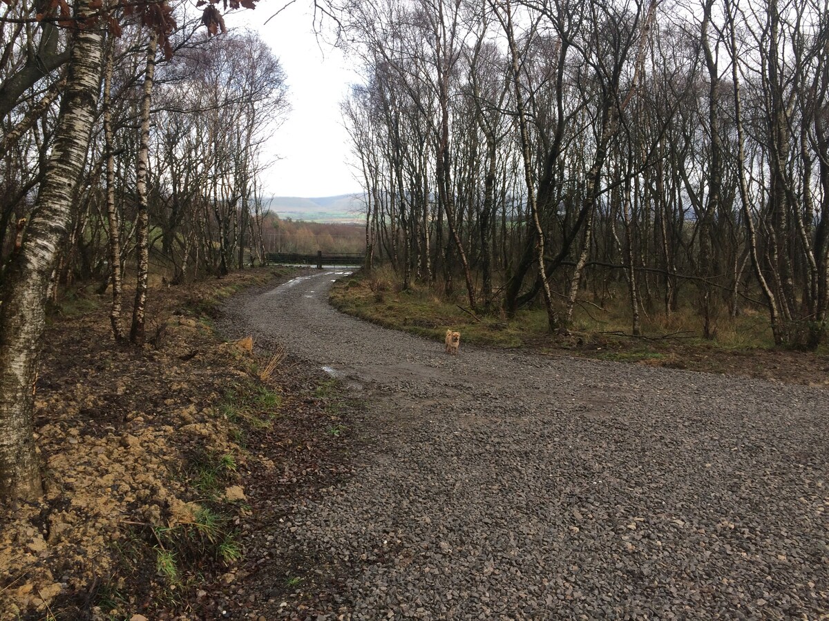 Cedar Lodge in the Yorkshire Dales National Park