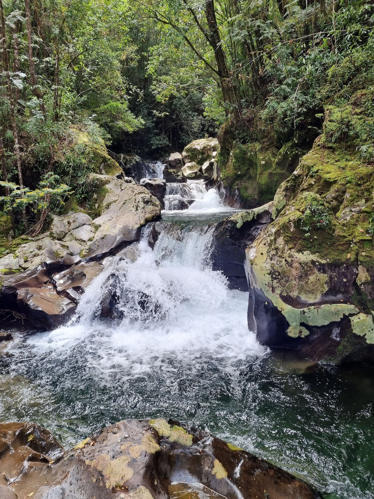 Retiro en la cascada