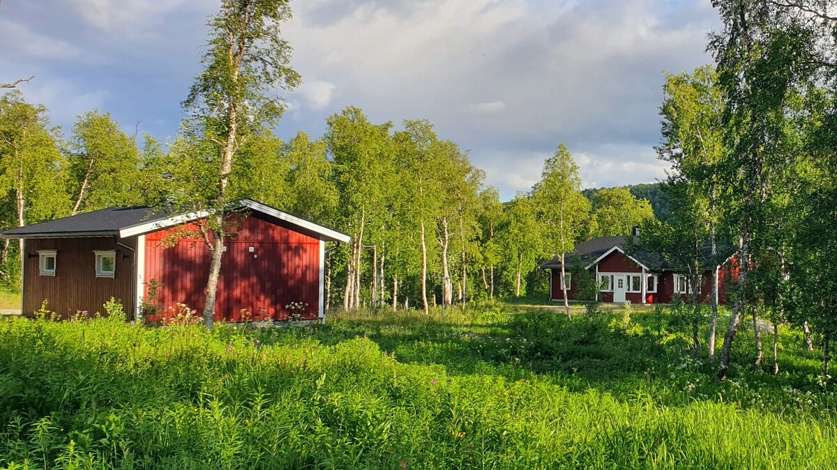 Forest Cabin outside Hemavan